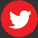Nepalis voice over twitter